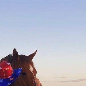 Meet your Posher, Galilea